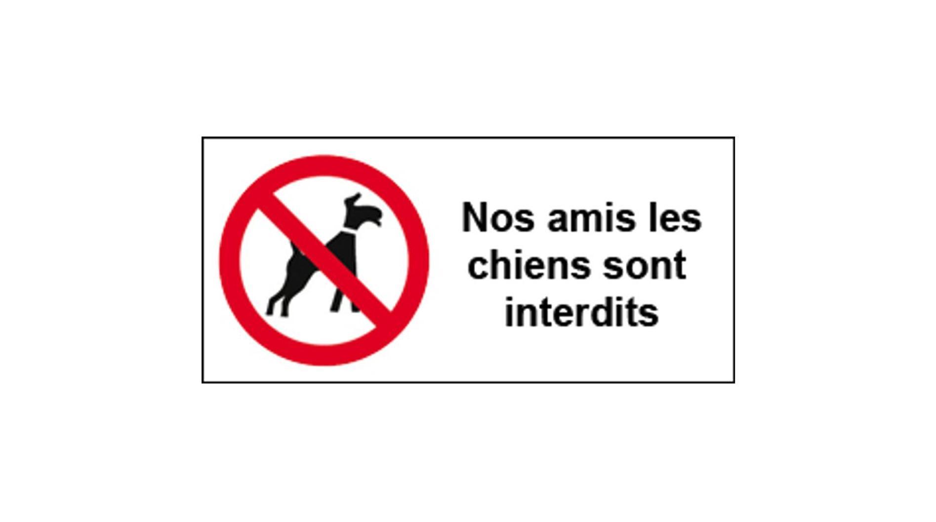 Studio Lumineux Et Plein De Charme Blois Eksteriør bilde
